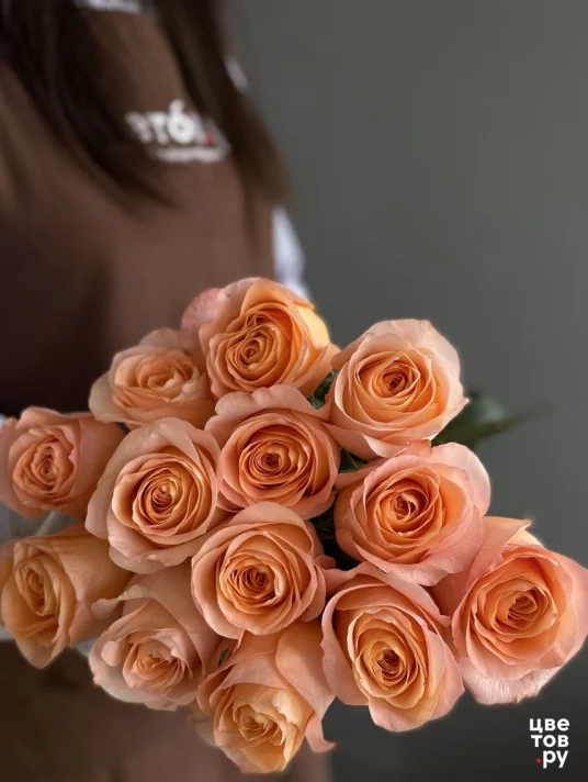 13 роз на ленте (Цвет из наличия)