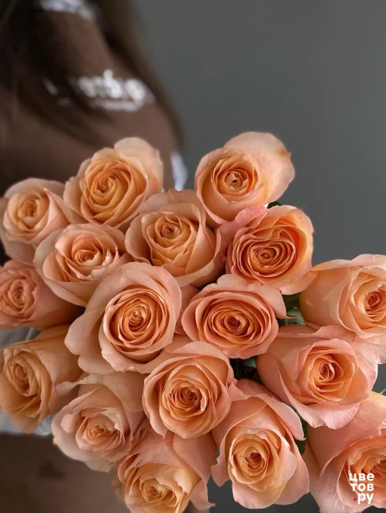 17 роз на ленте (Цвет из наличия)