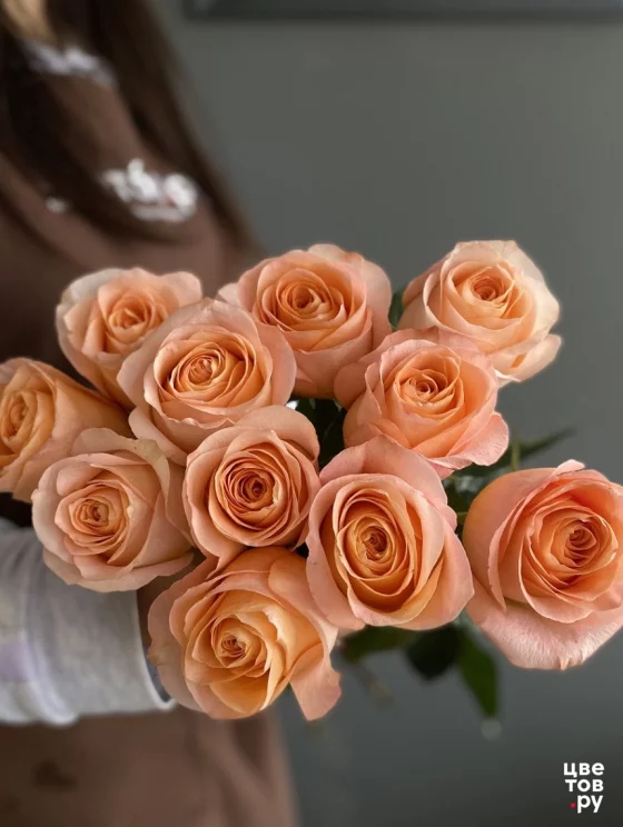 11 роз на ленте (Цвет из наличия)