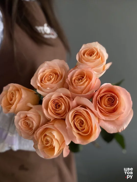 9 роз на ленте (Цвет из наличия)