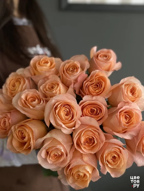 19 роз на ленте (Цвет из наличия)